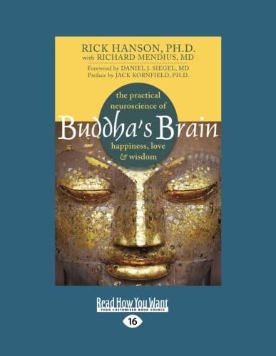 Cover of Buddha's brain