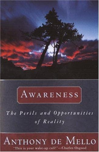 Cover of Awareness