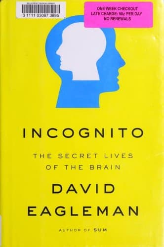 Cover of Incognito